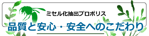 プロポリスタイトル